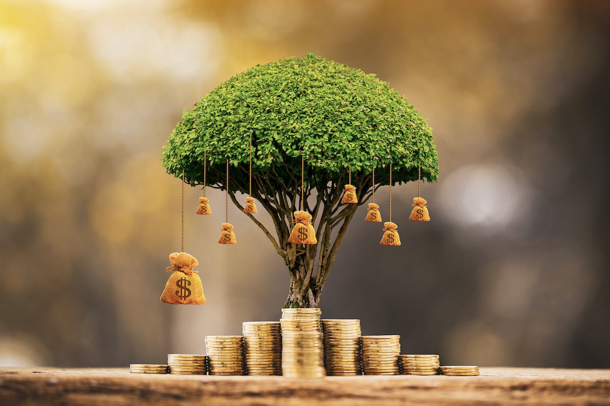 Dream Meaning of Excess
